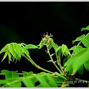 상세 바로가기